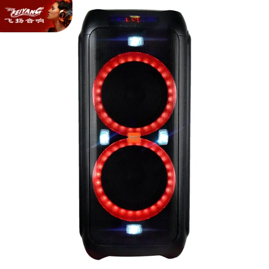 Feiyang Portable Bluetooth haut-parleur rechargeable boîte Double 8 pouces